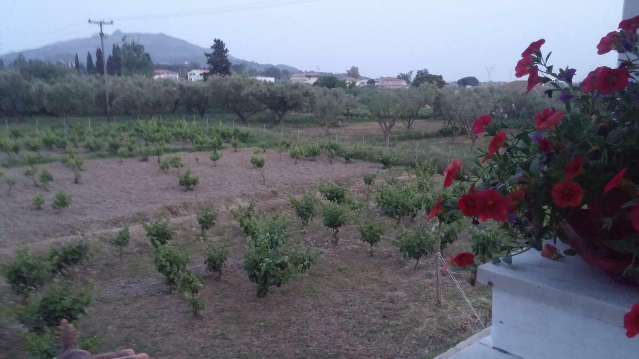 Aloisio's Estate Gaitani Exterior foto